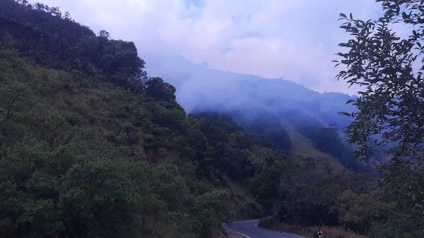 ಚಾರ್ಮಾಡಿ ಘಾಟ್‌ನಲ್ಲಿ ಕಿಡಿಗೇಡಿಗಳ ಕೃತ್ಯ: ನೂರಾರು ಎಕರೆ ಅರಣ್ಯ ಬೆಂಕಿಗಾಹುತಿ