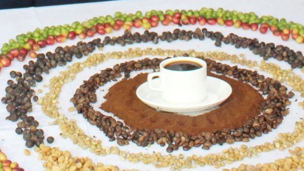 Kodagu Coffee Mela : ಡಿಸೆಂಬರ್ 10, 11ರಂದು ಕೊಡಗು ಕಾಫಿ ಮೇಳ