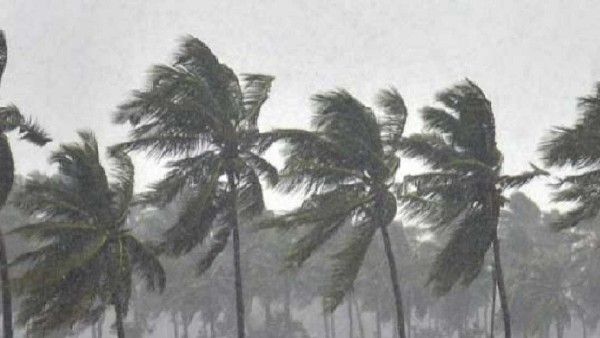 ತಮಿಳುನಾಡಿನಲ್ಲಿ ಡಿ.8ಕ್ಕೆ ಭಾರೀ ಮಳೆ ಸಾಧ್ಯತೆ: 13 ಜಿಲ್ಲೆಗಳಲ್ಲಿ ರೆಡ್ ಅಲರ್ಟ್