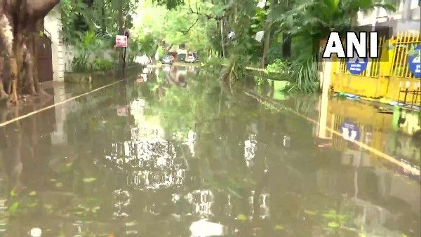 ಮಾಂಡೌಸ್ ಚಂಡಮಾರುತ: ತಮಿಳುನಾಡಿನಲ್ಲಿ ಮಳೆ ಅರ್ಭಟಕ್ಕೆ ಧರೆಗುರುಳಿದ ಮರಗಳು- 4 ಜನ ಸಾವು