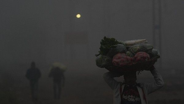 ದೆಹಲಿ: ತೀವ್ರ ಚಳಿ, ಶೀತ ಅಲೆ ಮುಂದುವರಿಕೆ, ಮತ್ತಷ್ಟು ಕುಸಿಯಲಿದೆ ತಾಪಮಾನ