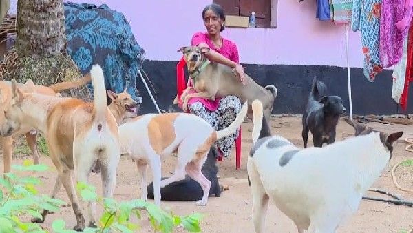 ಮಂಗಳೂರು: 800 ಬೀದಿನಾಯಿಗಳ ಊಟಕ್ಕೆ ಸೀಮೆಎಣ್ಣೆ ಸುರಿದ ಕಿಡಿಗೇಡಿ ಮಹಿಳೆ, ಸಿಸಿ ಕ್ಯಾಮೆರಾ ಅಳವಡಿಕೆ