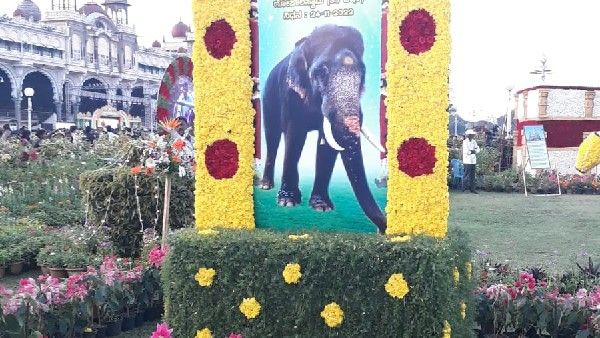 ಮೈಸೂರು ಅರಮನೆಯಲ್ಲಿ ಫಲಪುಷ್ಪ ಪ್ರದರ್ಶನ: ಮೊದಲ ದಿನವೇ ಸಾವಿರಾರು ಪ್ರವಾಸಿಗರ ದಂಡು