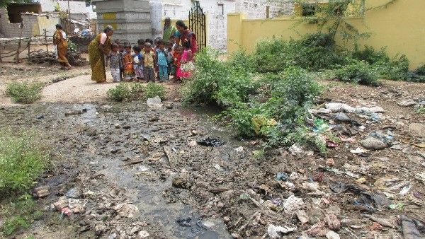 ಜೀಕಾ ವೈರಸ್‌ ಪತ್ತೆಯಾದರೂ ಎಚ್ಚೆತ್ತುಕೊಳ್ಳದ ನಗರಸಭೆ, ಪುರಸಭೆ: ಸೊಳ್ಳೆ ಕಾಟಕ್ಕೆ ಜನ ಹೈರಾಣು