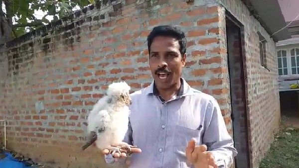 ಮೃತರ ಮನೆಯಲ್ಲಿ ಮರಿ ಗೂಬೆ ಪತ್ತೆ: ರಾಮನಗರದ ವಕೀಲನಿಂದ ರಕ್ಷಣೆ