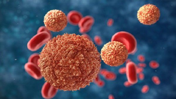 First Zika Virus in Karnataka : ಕರ್ನಾಟಕದ ರಾಯಚೂರಿನ 5ವರ್ಷದ ಬಾಲಕಿಗೆ ಝಿಕಾ ವೈರಸ್ ದೃಢ: ಸುಧಾಕರ್