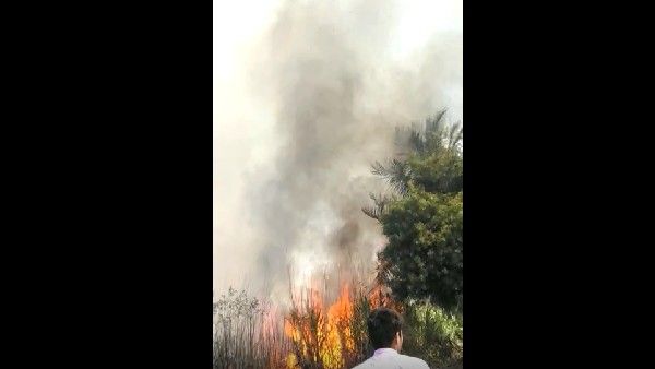 ಶಾರ್ಟ್ ಸರ್ಕ್ಯೂಟ್‌: ಲೊಕನಹಳ್ಳಿಯಲ್ಲಿ 20 ಹೆಕ್ಟೇರ್‌ಗೂ ಹೆಚ್ಚು ಕಬ್ಬು ಬೆಳೆ, 150ಕ್ಕೂ ಹೆಚ್ಚು ತೆಂಗಿನ ಮರಗಳು ಭಸ್ಮ