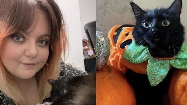 ಬೆಕ್ಕಿನ ವಿಚಿತ್ರ ವರ್ತನೆಯಿಂದ ಗಾಬರಿಗೊಂಡ ಮಹಿಳೆ: ಚಿಕಿತ್ಸೆಗಾಗಿ 7 ಲಕ್ಷ ಖರ್ಚು!