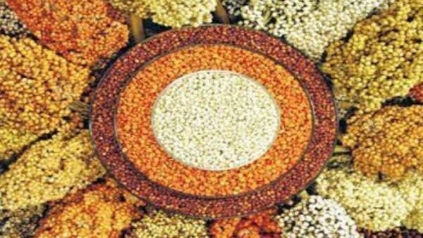 Krishi mela: ರಾಯಚೂರಿನಲ್ಲಿ ಸಿರಿಧಾನ್ಯಕ್ಕೆ ಮನಸೋತ ರೈತರು