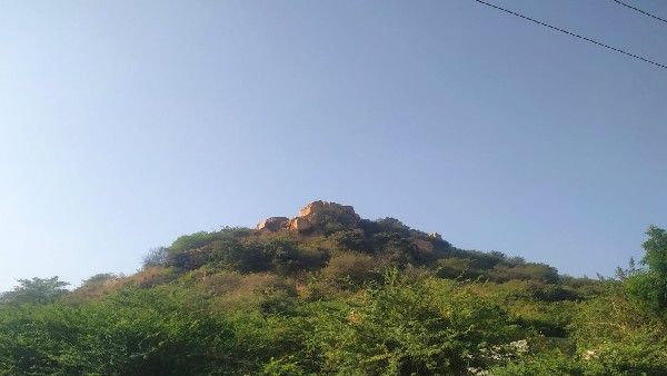 ಹಿರಿಯೂರು: ಅಧಿಕಾರಿಗಳ ನಿರ್ಲಕ್ಷ್ಯದಿಂದ ನಶಿಸಿ ಹೋಗುತ್ತಿರುವ ಇತಿಹಾಸ ಪ್ರಸಿದ್ಧ ವೇಣುಕಲ್ ಗುಡ್ಡ