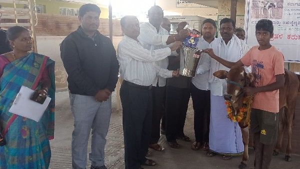 ಬೀಚಗಾನಹಳ್ಳಿಯಲ್ಲಿ ಕರುಗಳ ಪ್ರದರ್ಶನ; ಉತ್ತಮ ರಾಸುಗಳಿಗೆ ಬಹುಮಾನ, ವಿವರ ಇಲ್ಲಿದೆ