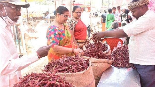 ವಾಣಿಜ್ಯ ನಗರಿಯಲ್ಲಿ ಒಣ ಮೆಣಸಿನಕಾಯಿ ಮೇಳ: ದಲ್ಲಾಳಿಗಳ ಕಾಟ ಇಲ್ಲದೆ ರೈತರ ಭರ್ಜರಿ ವ್ಯಾಪಾರ