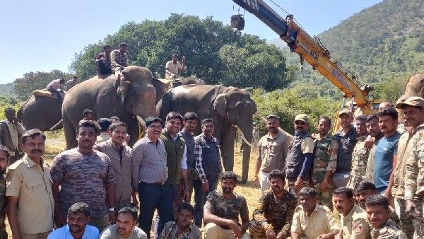 ಗೋಪಾಲಸ್ವಾಮಿ ಬೆಟ್ಟದ ಕಡೆಕೋಟಿಯಲ್ಲಿ ಕಾಡಾನೆ ಸೆರೆ: ನಿಟ್ಟುಸಿರು ಬಿಟ್ಟ ಗ್ರಾಮಸ್ಥರು