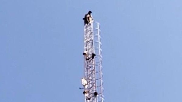 ಮೊಬೈಲ್ ಟವರ್ ಏರಿ ಕುಳಿತ ಕಳ್ಳತನದ ಆರೋಪಿ: ನ್ಯಾಯಾಧೀಶರು ಸ್ಥಳಕ್ಕೆ ಬರುವಂತೆ ಪಟ್ಟು