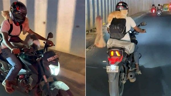 ಬೆರಗಾಗಿಸುವ ಬೆಕ್ಕುಗಳ ಬೈಕ್ ರೈಡ್: ವೈರಲ್ ವಿಡಿಯೋ