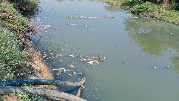 ಶಾಮನೂರು ಪುತ್ರನ ಒಡೆತನದ ಕಾರ್ಖಾನೆಯಿಂದ ಜನರಿಗೆ ಸಂಕಷ್ಟ: ಜ.19ಕ್ಕೆ ರಸ್ತೆ ತಡೆ