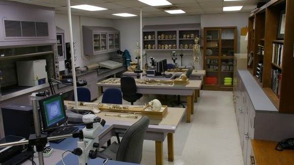 ಬೆಂಗಳೂರಿನಲ್ಲಿ ಸ್ಥಾಪನೆಯಾಗಲಿದೆ ರಾಜ್ಯದ ಮೊದಲ ವನ್ಯಜೀವಿ ವಿಧಿವಿಜ್ಞಾನ ಪ್ರಯೋಗಾಲಯ!