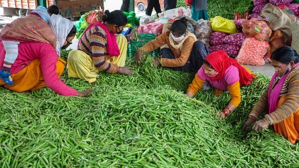 Green Peas Health Benefits: ಚಳಿಗಾಲದಲ್ಲಿ ಹೇರಳವಾಗಿ ದೊರೆಯುವ ಹಸಿ ಬಟಾಣಿಯ ಪ್ರಯೋಜನಗಳ ಬಗ್ಗೆ ನಿಮಗೆಷ್ಟು ಗೊತ್ತು?
