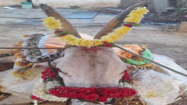 ರಾಣೆಬೆನ್ನೂರು: 