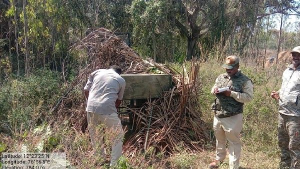 ಬಾಲಕನ ಕೊಂದ ಚಿರತೆ ಸೆರೆ: ನಿಟ್ಟುಸಿರು ಬಿಟ್ಟ ಗ್ರಾಮಸ್ಥರು