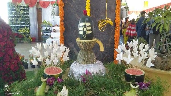 ರಾಯಚೂರು: ಕೃಷಿ ಮೇಳದಲ್ಲಿ ನೋಡುಗರನ್ನು ಸೆಳೆದ ಫಲಪುಷ್ಪ ಪ್ರದರ್ಶನ