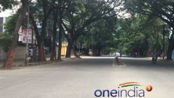 ಬೆಂಗಳೂರು: 800 ಮರ ಕಡಿಯಲು ಬಿಬಿಎಂಪಿಯಿಂದ ಅನುಮೋದನೆ ಪಡೆದ ಆ ಅಭಿವೃದ್ಧಿ ಯೋಜನೆಗಳು ಯಾವವು?