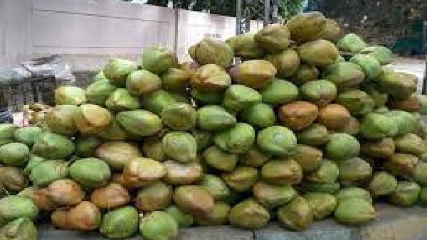 ಚಳಿಗಾಲ, ದಿಢೀರ್ ದರ ಕುಸಿತ: ರಾಯಚೂರಿನಲ್ಲಿ ಹೇಗಿದೆ ಎಳನೀರು ವ್ಯಾಪಾರ..?