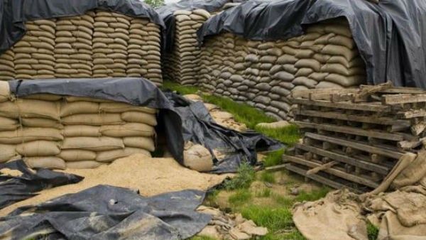 ಕೇಂದ್ರದ ನಿರ್ಧಾರದಿಂದ ಗೋಧಿ ಹಿಟ್ಟಿನ ಚಿಲ್ಲರೆ ಬೆಲೆ ಇಳಿಕೆ, ಸರ್ಕಾರದ ಆ ನಿರ್ಧಾರ ಯಾವುದು?