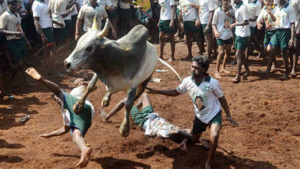 Krishnagiri Bull Race:: ಗೂಳಿ ಓಟಕ್ಕೆ ಜಿಲ್ಲಾಧಿಕಾರಿಗಳಿಂದ ತಡೆ: ಚೆನ್ನೈ-ಬೆಂಗಳೂರು ಹೆದ್ದಾರಿ ತಡೆದು ಪ್ರತಿಭಟನೆ