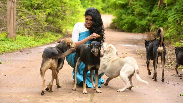 ಬೀದಿ ನಾಯಿಗಳನ್ನು ಕೊಲ್ಲಬೇಕು ಹೇಳಿಕೆ: ಸಂಸದ ಪ್ರತಾಪ್ ಸಿಂಹ ವಿರುದ್ಧ ಪ್ರಾಣಿ ಪ್ರಿಯರ ವಾಗ್ದಾಳಿ