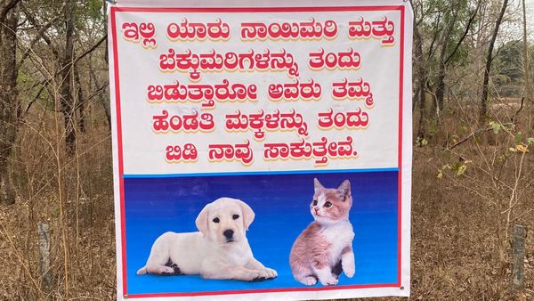 ಬೀದಿಯಲ್ಲಿ ನಾಯಿ, ಬೆಕ್ಕುಗಳ ಕಾಟಕ್ಕೆ ಬೇಸತ್ತು ಪಚ್ಚನಾಡಿ ಸ್ಥಳೀಯರು ಮಾಡಿದ್ದೇನು?, ಇಲ್ಲಿದೆ ನೋಡಿ ವಿವರ