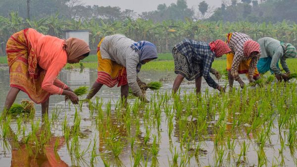 Union Budget 2023; ಕೃಷಿ ಸ್ಟಾರ್ಟ್‌ ಅಪ್‌ಗಳಿಗೆ ಹೆಚ್ಚಿನ  ಆದ್ಯತೆ 