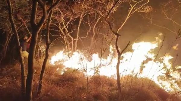 ಚುರ್ಚೆಗುಡ್ಡದಲ್ಲಿ ಕಾಡ್ಗಿಚ್ಚು: ಬೆಂಕಿ ಆರಿಸಲು 8 ಗಂಟೆಗಳ ನಿರಂತರ ಕಾರ್ಯಾಚರಣೆ