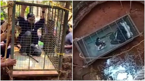 ಮೂಡಬಿದ್ರೆ:ಚಿರತೆ ಮರಿ ರಕ್ಷಣೆಗೆ ಜೀವವನ್ನೇ ಪಣಕ್ಕಿಟ್ಟು ಬಾವಿಗಿಳಿದ ಪಶುವೈದ್ಯೆ