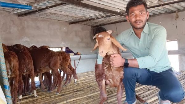 ರಾಯಚೂರಿನ ಯುವಕನ ಸಾಧನೆಗೆ ನರೇಗಾ ನೆರವು: ವರ್ಷಕ್ಕೆ ₹10 ಲಕ್ಷ ಆದಾಯ