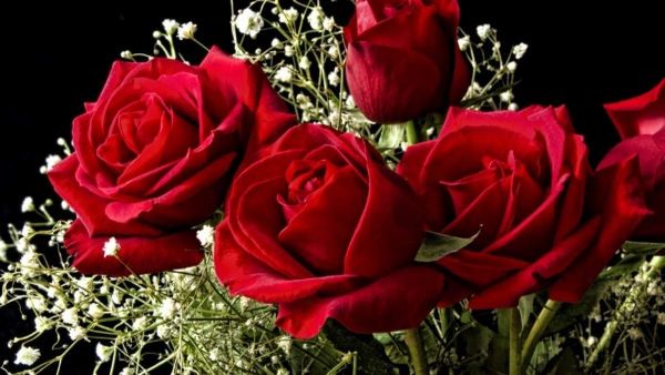 Happy Rose Day 2023: ಸಿಂಗಲ್ಸ್ ರೋಸ್ ಡೇ ಆಚರಿಸಿದ್ದು ಹೇಗೆ? ನಕ್ಕು ನಗಿಸುವ ಟ್ವಿಟ್ಟರ್‌ ಮೀಮ್..