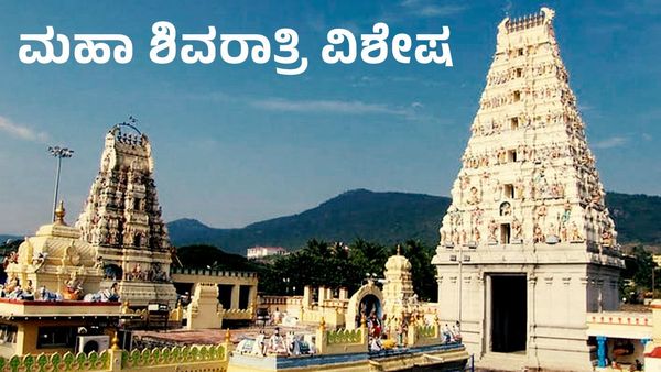 ಮಹಾ ಶಿವರಾತ್ರಿ 2023: ಶಿವರಾತ್ರಿಗೆ ಮಲೆಮಹದೇಶ್ವರ ಬೆಟ್ಟಕ್ಕೆ ಪಾದಯಾತ್ರಿಗಳ ದಂಡು