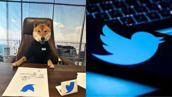 Twitter New CEO : ಟ್ವಿಟ್ಟರ್‌ಗೆ ಹೊಸ ಸಿಇಒ ನೇಮಿಸಿದ ಎಲಾನ್‌ ಮಸ್ಕ್‌, ಆದರೆ ಮನುಷ್ಯನಲ್ಲ... 