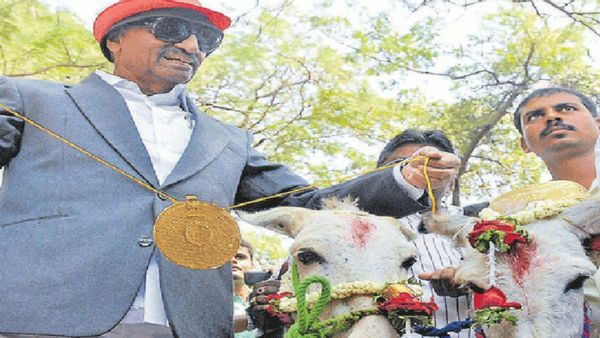 ಪ್ರೇಮಿಗಳ ದಿನಾಚರಣೆಗೆ ಕತ್ತೆಗಳ ಮದುವೆ: ವಿಶೇಷ ಕಾರ್ಯಕ್ರಮ ಹಮ್ಮಿಕೊಂಡ ವಾಟಾಳ್!