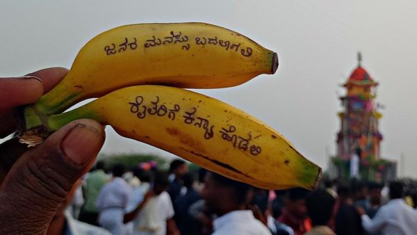 ಚಿಮ್ಮನಹಳ್ಳಿ ದುರ್ಗಾಂಬಿಕೆ ರಥೋತ್ಸವ: ಜನರ ಮನಸ್ಸು ಬದಲಾಗಲಿ, ರೈತರಿಗೆ ಕನ್ಯೆ ಕೊಡಲಿ, ವೈರಲ್‌