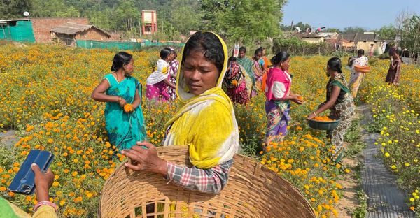 Budget 2023: ಮಹಿಳೆಯರಿಗಾಗಿ ಮಹಿಳಾ ಸಮ್ಮಾನ್ ಸಣ್ಣ ಉಳಿತಾಯ ಯೋಜನೆ