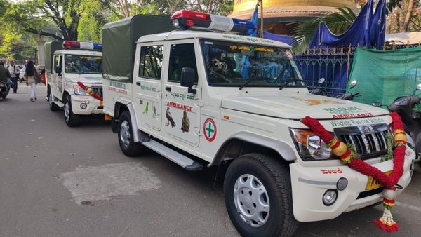 ವಿಶ್ವ ವನ್ಯಜೀವಿ ದಿನ: ವನ್ಯಜೀವಿಗಳ ಸರಕ್ಷಣೆಗಾಗಿ ಬಿಬಿಎಂಪಿಯ 'ವನ್ಯಜೀವಿ ಸಂರಕ್ಷಣಾ ವಾಹನ' ಸಂಚಾರ