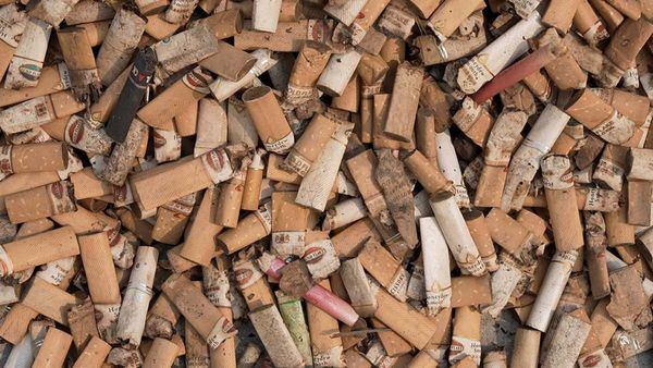 ಎಲ್ಲೆಂದರಲ್ಲಿ ಸಿಗರೇಟ್ ತುಂಡುಗಳನ್ನು ಎಸೆಯುತ್ತಿದ್ದರೇ ಇಲ್ಲಿ ಗಮನಿಸಿ: ನಿಮ್ಮ ಈ ನಿರ್ಲಕ್ಷ್ಯಕ್ಕೆ ದಂಡ ಬೀಳಬಹುದು!