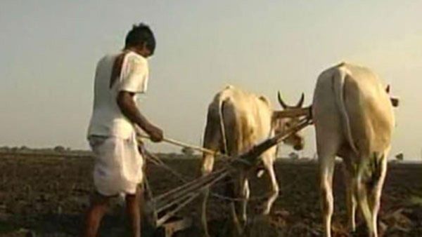 ಕೃಷಿಯಲ್ಲಿನ ಹೂಡಿಕೆ ಹೆಚ್ಚಳಕ್ಕಾಗಿ ಬ್ಯಾಂಕರ್‌ಗಳ ಜೊತೆ ಮಾತುಕತೆ, 3600 ಕೋಟಿ ಆವರ್ತ ನಿಧಿ ಮೀಸಲು:CM 