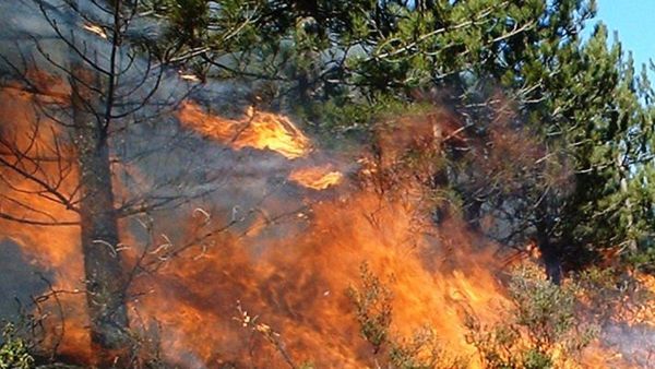 ಸಕಲೇಶಪುರ ಕಾಡ್ಗಿಚ್ಚು ನಂದಿಸುವ ಹೊಣೆ ರೈಲ್ವೆ ಇಲಾಖೆಗೆ