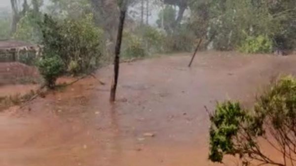 Rain in Chikkamagaluru : ಕಾಫಿನಾಡು ಚಿಕ್ಕಮಗಳೂರಿನ ರೈತರ ಮುಖದಲ್ಲಿ ಮಂದಹಾಸ ತರಿಸಿದ ವರ್ಷಧಾರೆ