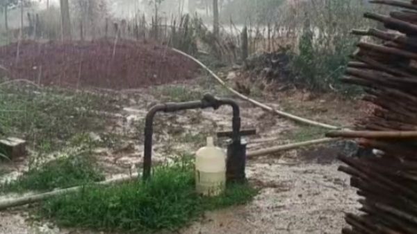 Rain in Chikkamagaluru : ಕಾಫಿನಾಡು ಚಿಕ್ಕಮಗಳೂರು ಜಿಲ್ಲೆಯಲ್ಲಿ ಗುಡುಗು, ಸಿಡಿಲು ಸಹಿತ ಮಳೆ