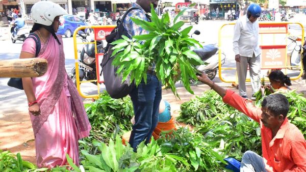 Ugadi Festival 2023: ಯುಗಾದಿ ಹಬ್ಬವನ್ನು ಅದ್ಧೂರಿಯಾಗಿ ಸ್ವಾಗತಿಸಲು ಸಕ್ಕರೆ ನಾಡಿನಲ್ಲಿ ಭರ್ಜರಿ ಸಿದ್ಧತೆ
