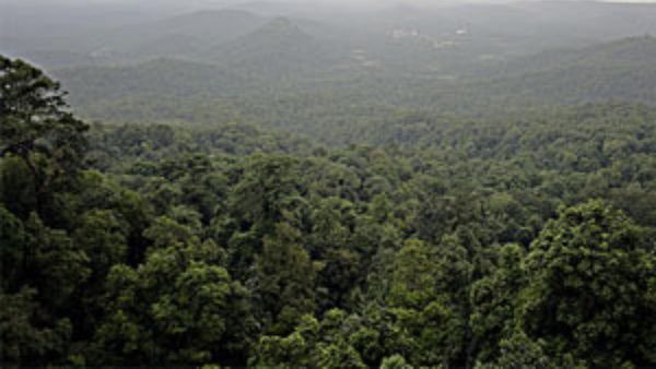 ಪಶ್ಚಿಮ ಘಟ್ಟಗಳಿಗೆ ಅಪಾಯ ತಂದಿಡುತ್ತಿವೆ ಅಕ್ರಮ ಹೋಂಸ್ಟೇಗಳು