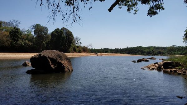 ಶಿವಮೊಗ್ಗ; ಬಿರು ಬೇಸಿಗೆ, ಚಿಬ್ಬಲಗುಡ್ಡೆ ದೇವರ ಮೀನುಗಳಿಗೆ ಸಮಸ್ಯೆ ಇಲ್ಲ